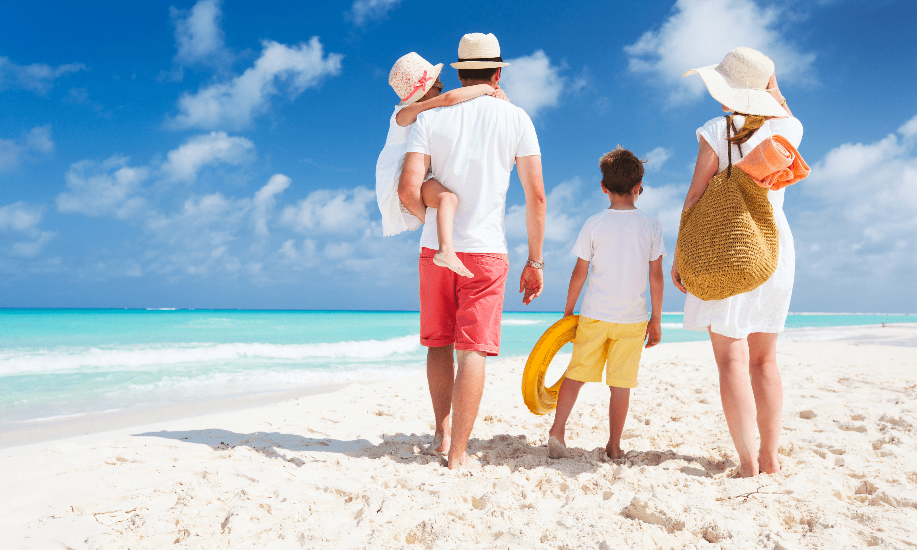 Individual Service Packages (All Inclusive, Cruise, Pre-Packaged Tours)